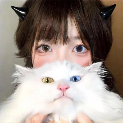 鬼平犯科帐老盗之梦